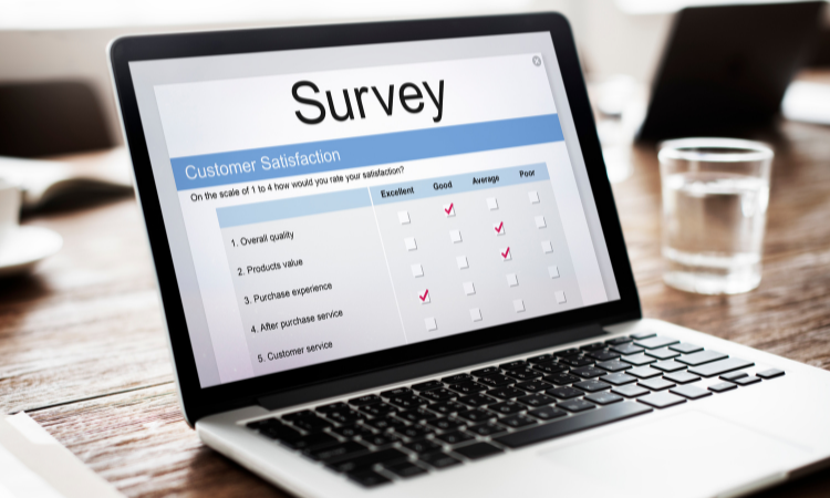 I will conduct your online survey with 500 audience respondents